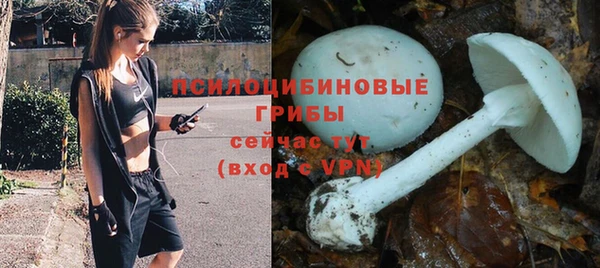 трава Алзамай