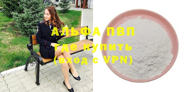 дживик Абаза