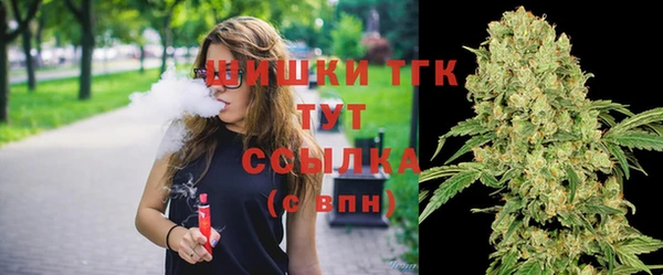 дживик Абаза
